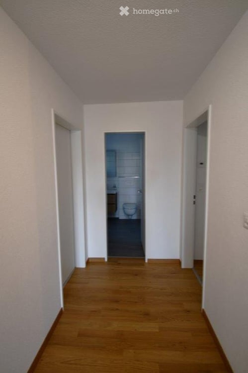 Attraktive, hochwertig renovierte 4.5-Wohnungen Erdgeschoss – Erstbezug nach Renovation 4