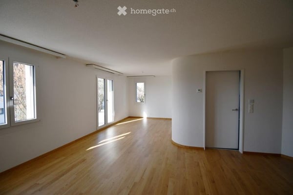 Attraktive, hochwertig renovierte 4.5-Wohnungen Erdgeschoss – Erstbezug nach Renovation 9