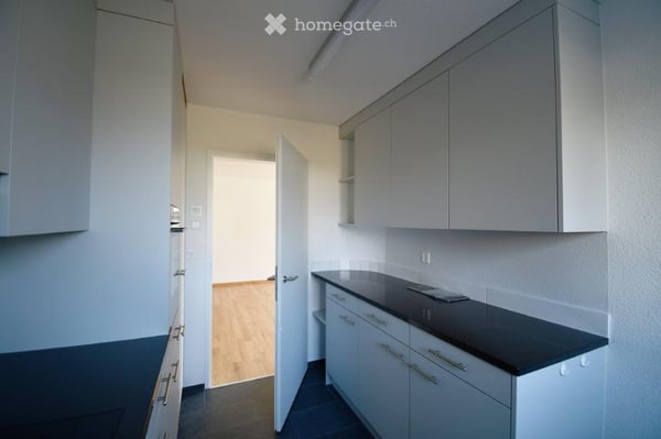Attraktive, hochwertig renovierte 4.5-Wohnungen Erdgeschoss – Erstbezug nach Renovation 8
