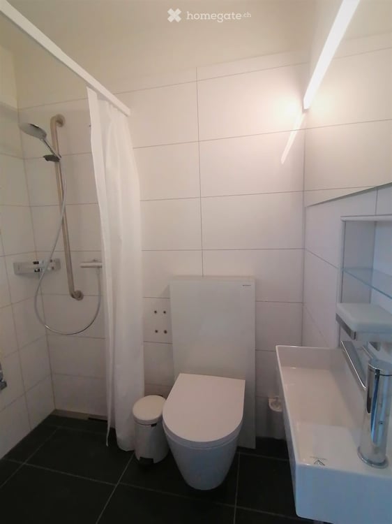 Frisch renoviertes 5.5-Zimmer-Reihenhaus mit Garten in familienfreundlicher Siedlung 11