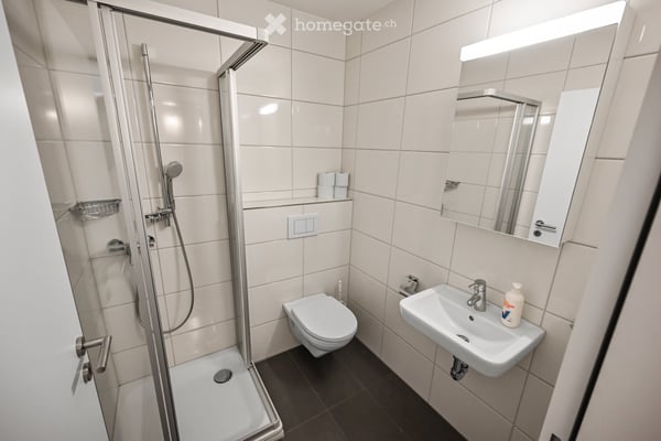 Exklusive 3.5-Zimmer-Dachwohnung mit viel Tageslicht und Hobbyraum 4
