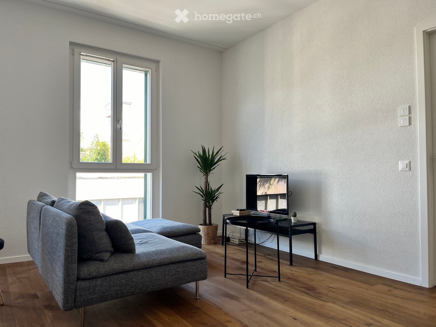 Modern living room with grey sectional sofa, small black side table, television, and potted plant near large windows.