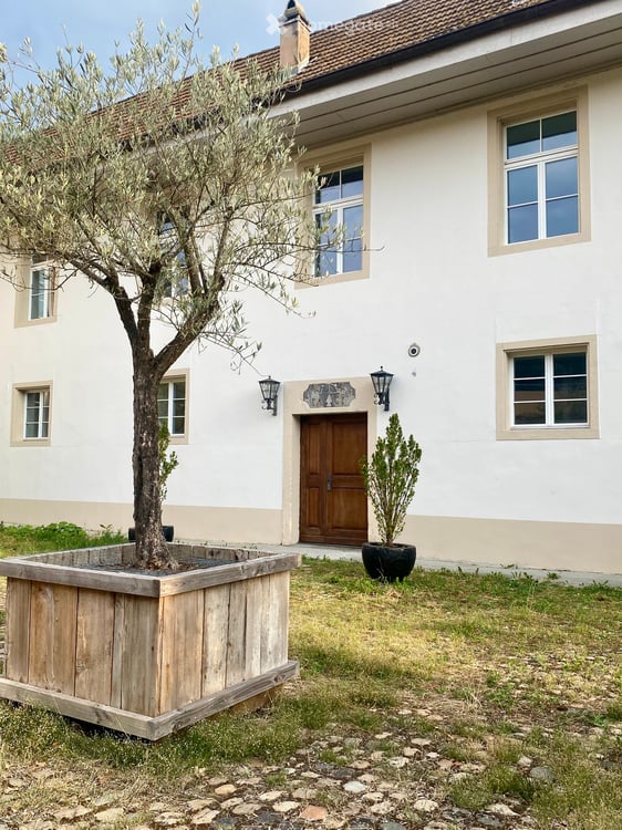 anders als gewohnt, 180 m2 Loft, Wohnung, Atelier 3