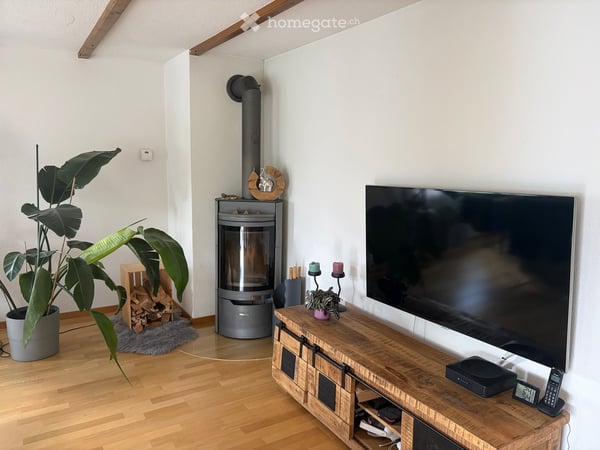 Charmante 3.5-Zimmer-Wohnung mit Seesicht in Kastanienbaum 4