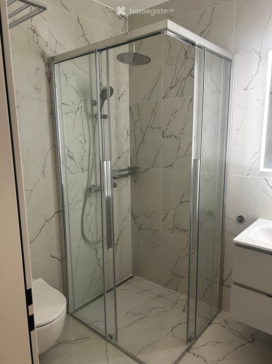 Bright Flat in one of Zurich's most connected addresses · Available Immediately or by Arrangement 6