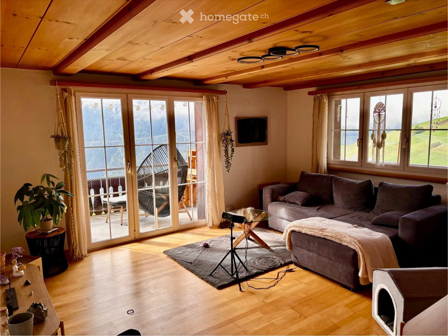 Bright living room with wooden floors, large windows, and a view of the landscape. Features a grey sectional sofa, a glass coffee table, a hanging plant, and a cat bed.