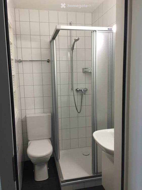 Charmante 3-Zimmer-Altbauwohnung mit Balkon in Basel nähe Solitude 5