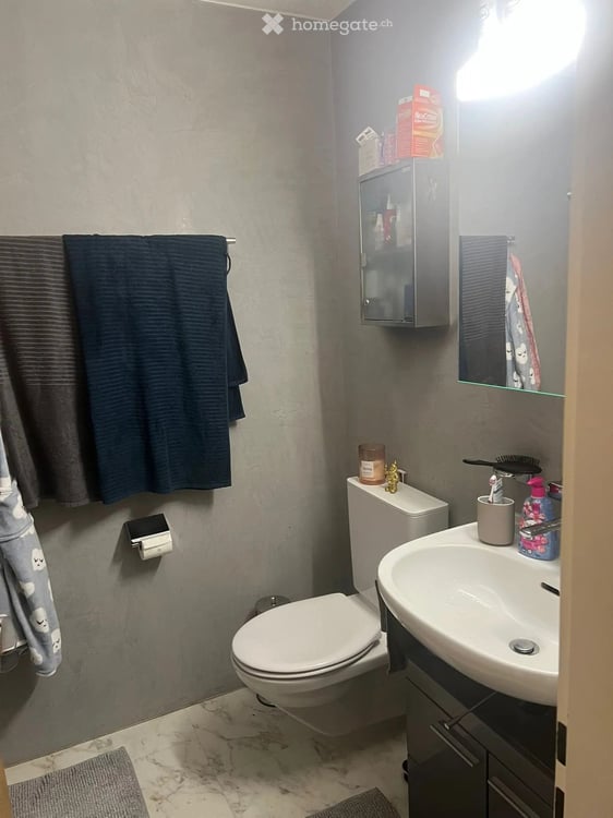 Grosszügige 3.5-Zimmer-Wohnung mit Sitzplatz in Muri AG 18