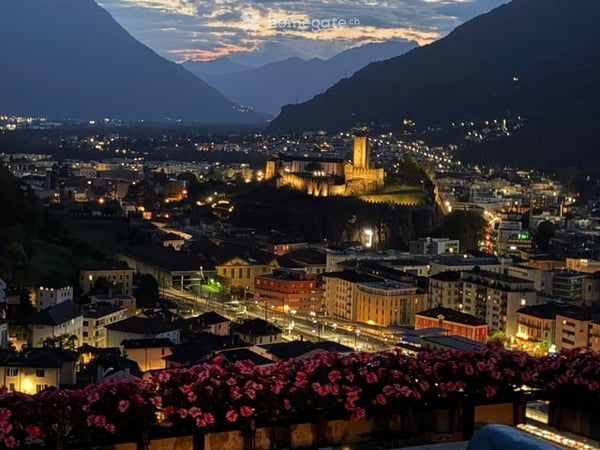 Phantastische Wohnung 1.5 in Bellinzona - Bellissimo appartamenzo di 1,5 locali 7