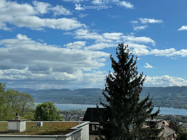 Charmante 2.5-Zimmer-Wohnung mit traumhafter Aussicht in Zürich 8044 2