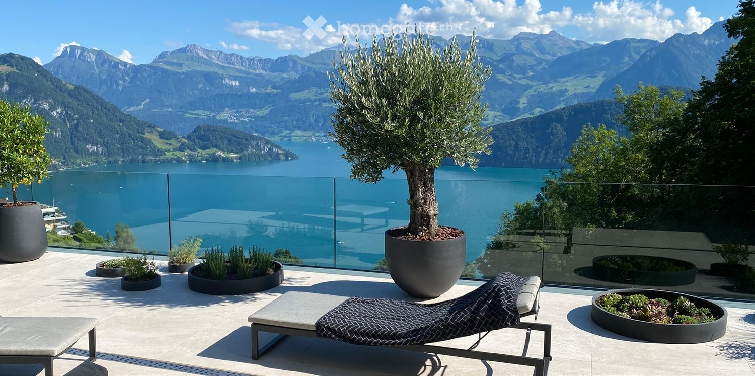 A modern outdoor terrace with a panoramic mountain and lake view, featuring a lounge chair, small table, and several potted plants.
