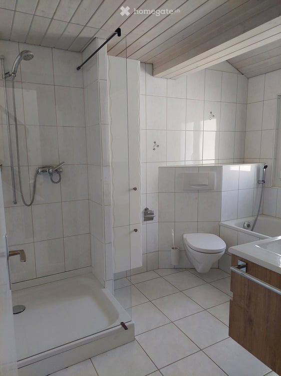 Neu renoviertes 6.5-Zimmer-Einfamilienhaus in Silenen 3