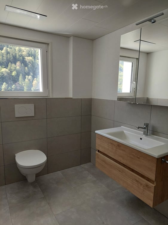 Neu renoviertes 6.5-Zimmer-Einfamilienhaus in Silenen 4