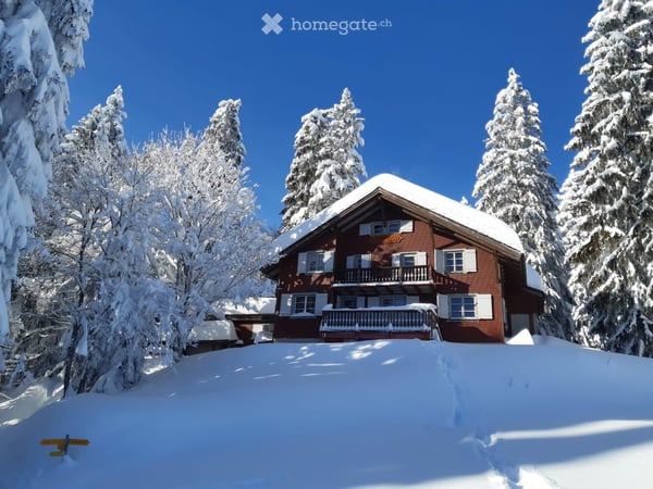 Lagerhaus am Waldrand 17