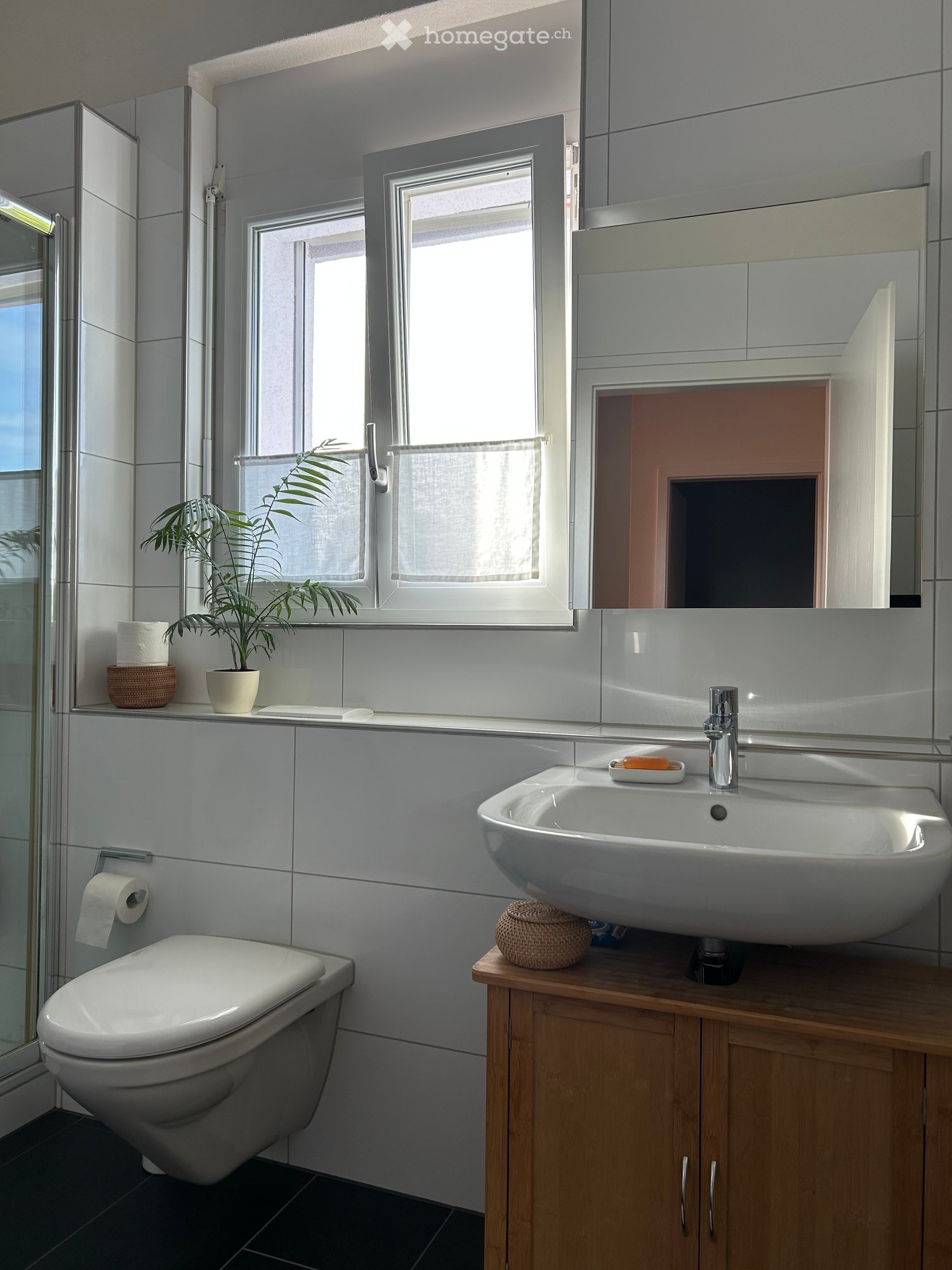 Modern bathroom with a white sink, wooden cabinet, large mirror, toilet, and a small potted plant on the windowsill.