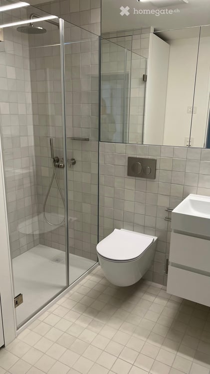 Fully renovated apartment in Gellert / St. Alban 5