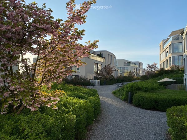 Exklusives Wohnen mit Weitblick – sonnige 2.5-Zimmer-Wohnung in Uitikon 2