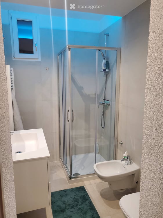 Möblierte 2.5-Zimmer-Wohnung in Paradiso, Lugano 8