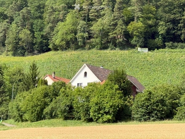 Atelierhaus Rumstal - 6.5 Zimmer-Wohnung im Grünen 39