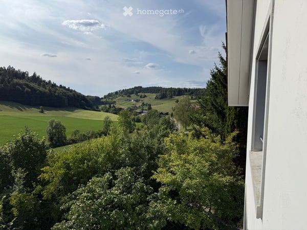 Atelierhaus Rumstal - 6.5 Zimmer-Wohnung im Grünen 22