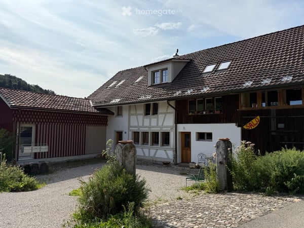 Atelierhaus Rumstal - 6.5 Zimmer-Wohnung im Grünen