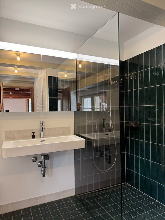 Atelierhaus Rumstal - 6.5 Zimmer-Wohnung im Grünen 21