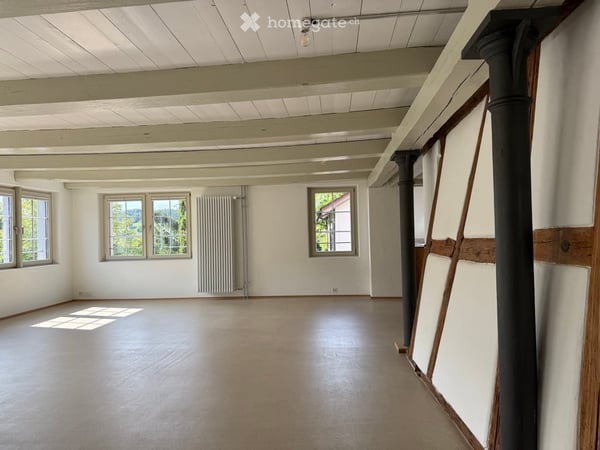Atelierhaus Rumstal - 6.5 Zimmer-Wohnung im Grünen 3