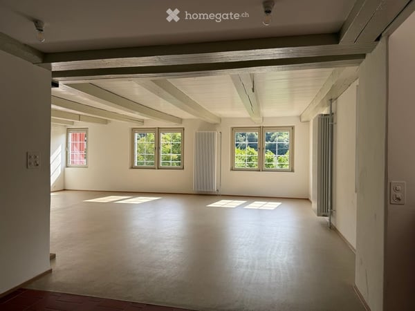 Atelierhaus Rumstal - 6.5 Zimmer-Wohnung im Grünen 5