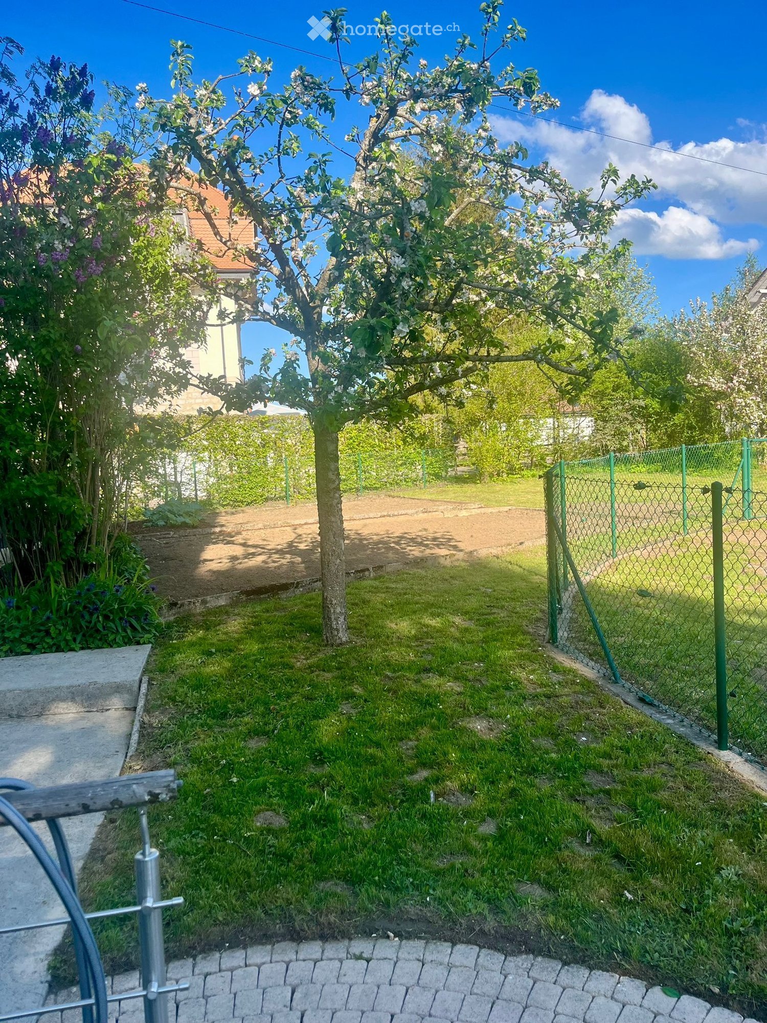 Garden with a tree, green grass, a fence, and a concrete pathway.