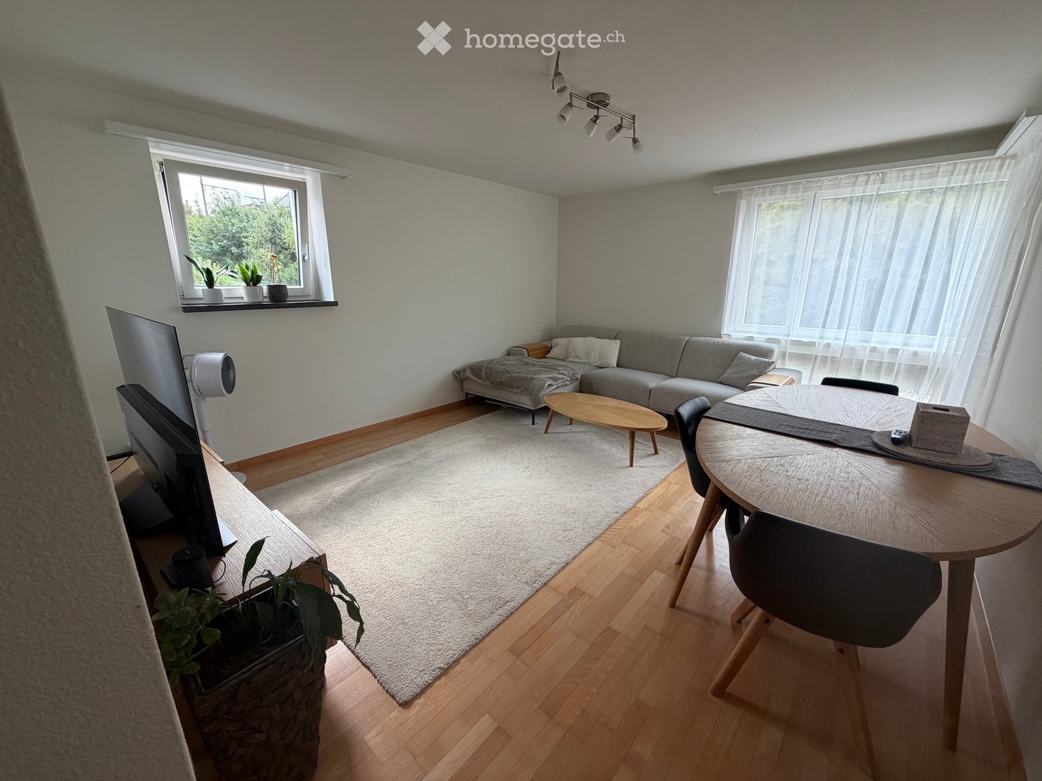 Modern living room with a grey sofa, coffee table, dining table, chairs, television, fan, and potted plants.