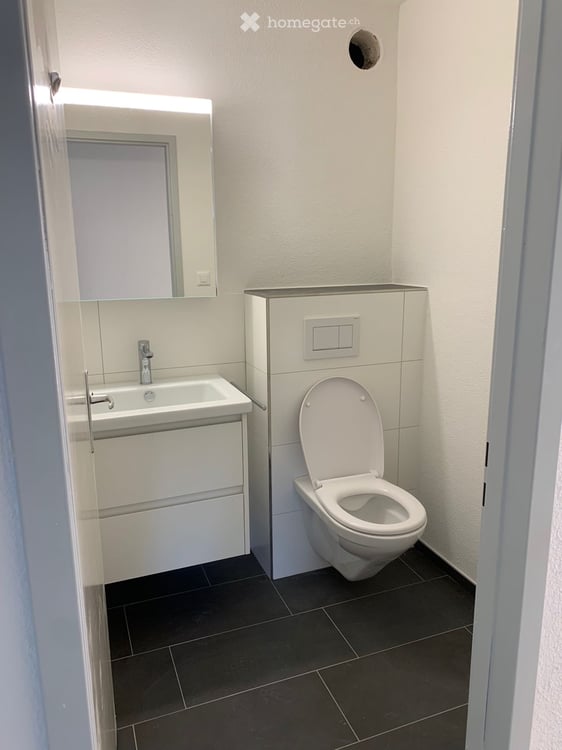 3.5-Zimmer-Wohnung mit Balkon und schöner Aussicht in Haag (Rheintal) 4