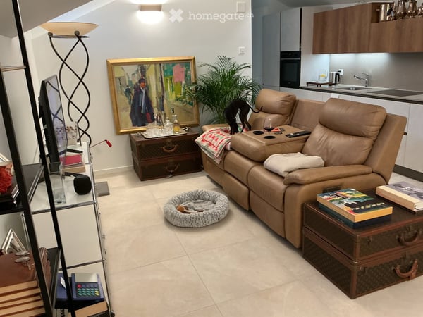 Subentrante 2/5 locali Bellinzona – 1300.- 9