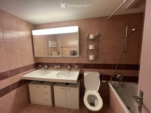 grosszügige Wohnung in Schwerzenbach 7