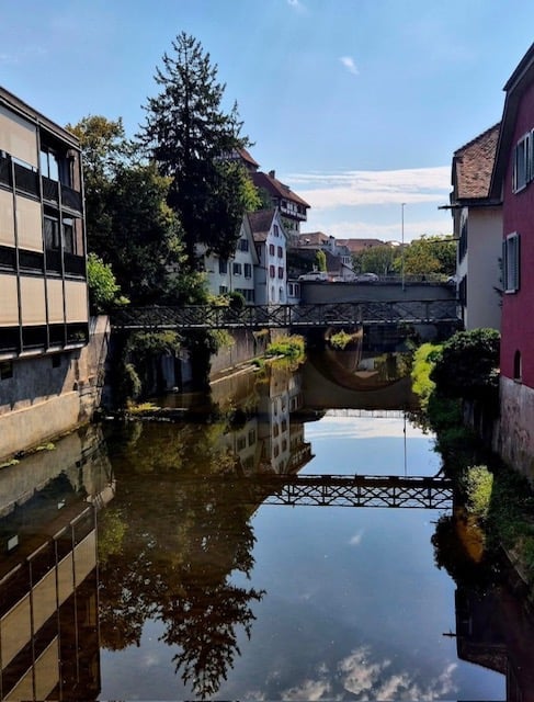 A serene canal scene with a metal bridge crossing over calm water, surrounded by lush greenery and residential buildings.