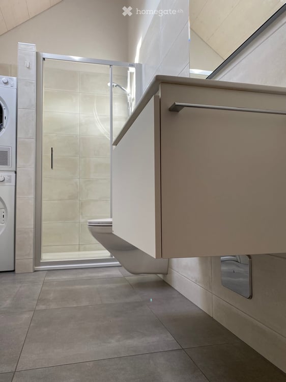 Einzigartige 3½ Zimmer-Dachwohnung an zentraler Lage 5