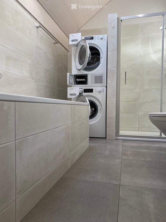 Einzigartige 3½ Zimmer-Dachwohnung an zentraler Lage 4