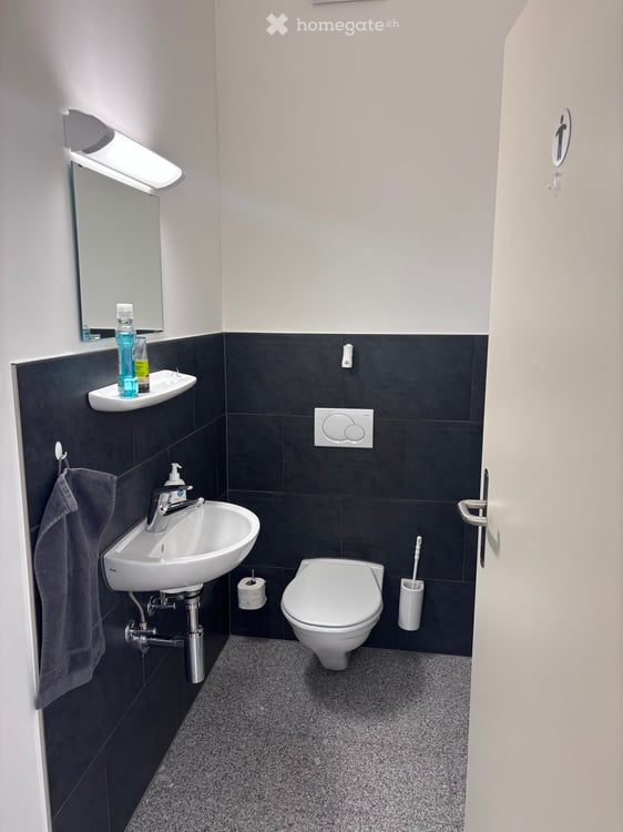 Moderne 2-Zimmer-Büroräume in Bad Ragaz zu vermieten 8