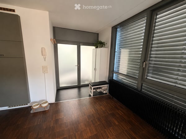 Loft in Uster 4