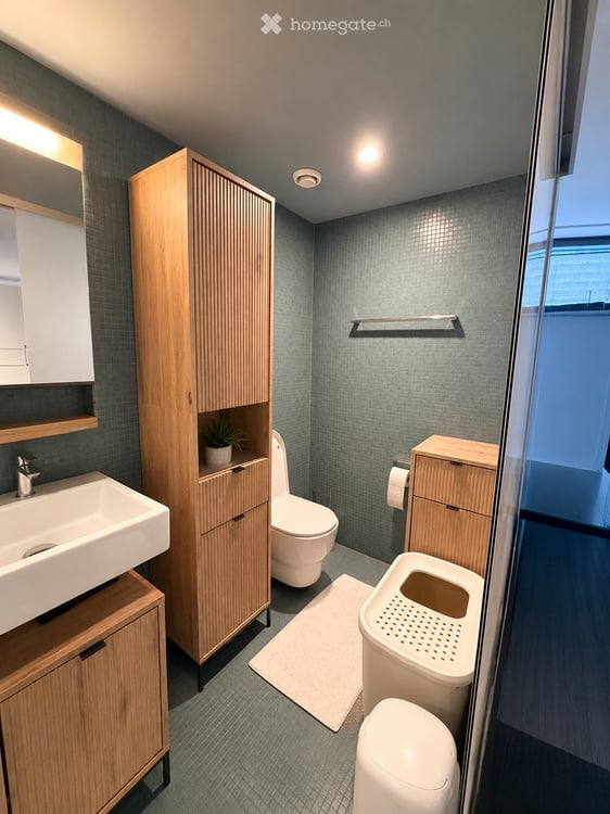 Loft in Uster 2