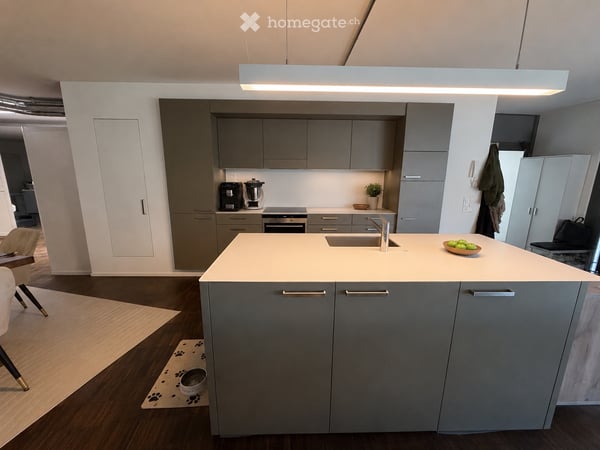 Loft in Uster 5