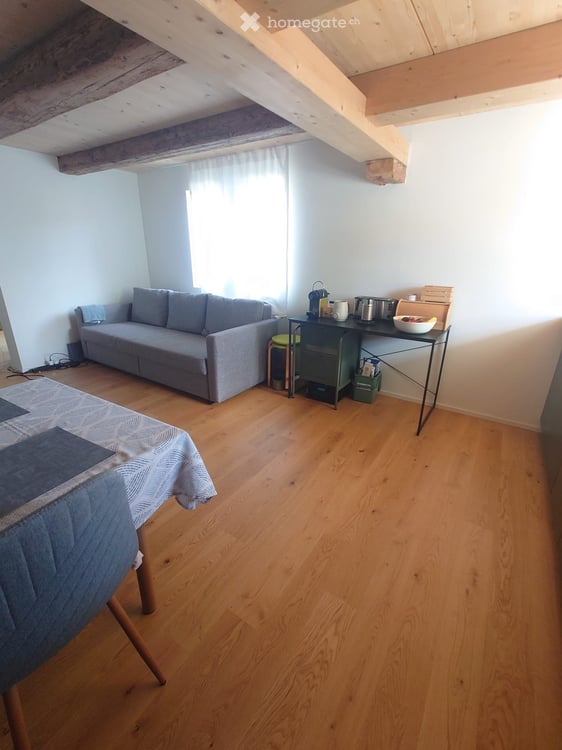 3-Zimmerwohnung 1.OG (2/2) mit Balkon In Oberwinterthur 4