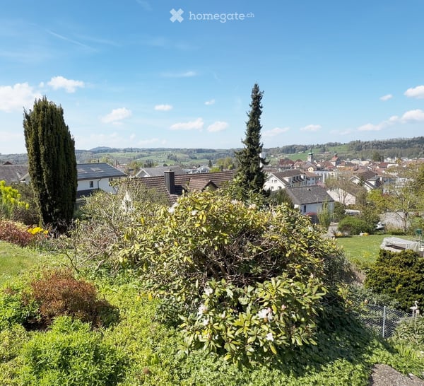 Bauland an begehrter Lage in Bischofszell 4