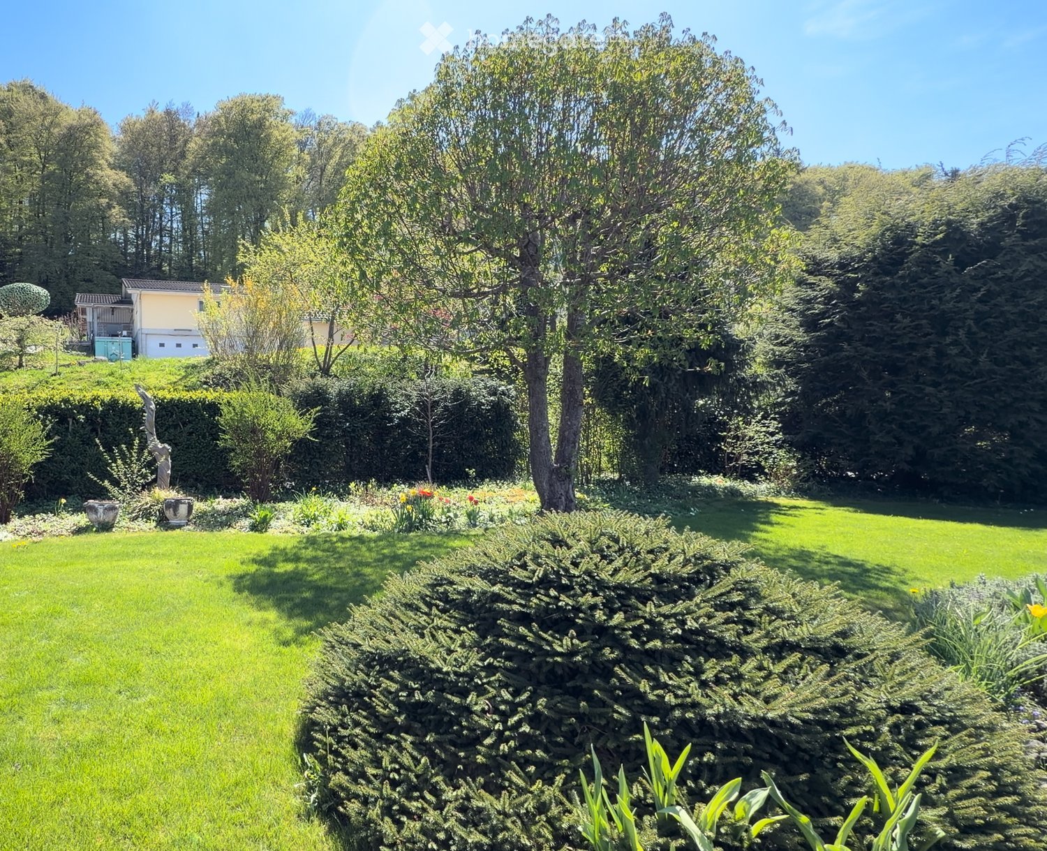 Well-maintained garden with a green lawn, trimmed bushes, flowering plants, and trees, with a house visible in the background.