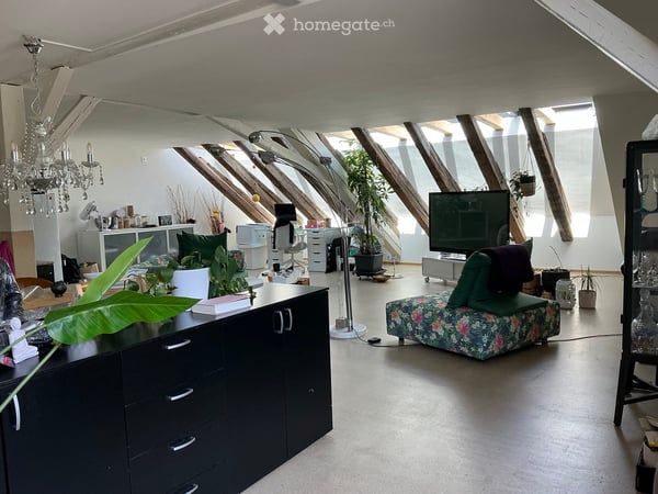 Modernes 2-Zimmer-Loft an der Othmar Blumer-Strasse in Freienstein 3