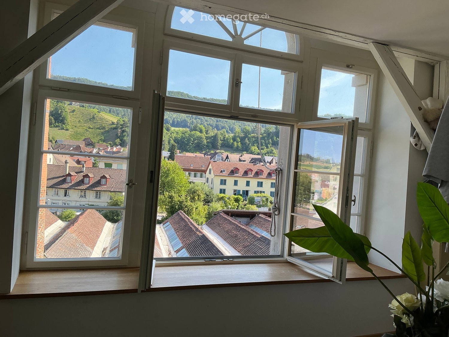 Bright room with large windows offering a scenic view of a town and green landscape. Features a wooden windowsill and a potted plant with white flowers on the windowsill.