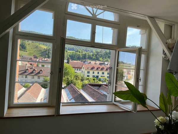 Modernes 2-Zimmer-Loft an der Othmar Blumer-Strasse in Freienstein 2