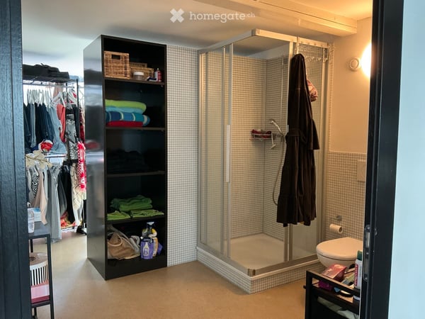 Modernes 2-Zimmer-Loft an der Othmar Blumer-Strasse in Freienstein 5