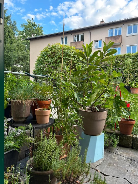 Charmante 1-Zimmer-Terrassenwohnung an der Sternmattstrasse in Luzern 3