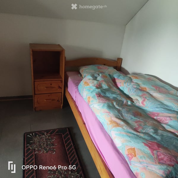 Möblierte 2.5-Zimmer-Wohnung im 1. OG in Eggersriet – sofort verfügbar! 5