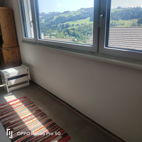 Möblierte 2.5-Zimmer-Wohnung im 1. OG in Eggersriet – sofort verfügbar! 3
